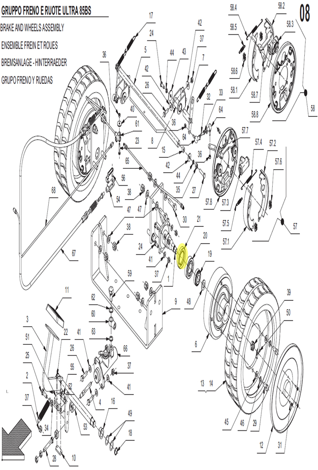 Oil Seal